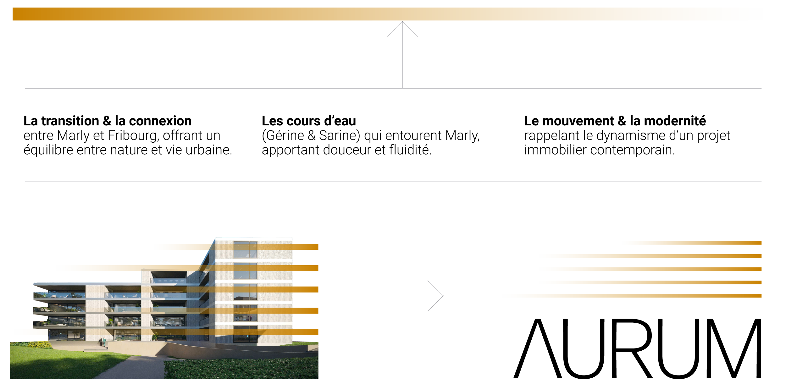 Aurum-Identite-visuelle2